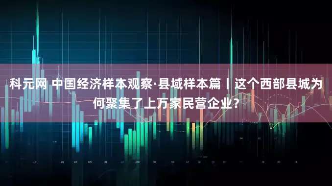 科元网 中国经济样本观察·县域样本篇丨这个西部县城为何聚集了上万家民营企业？