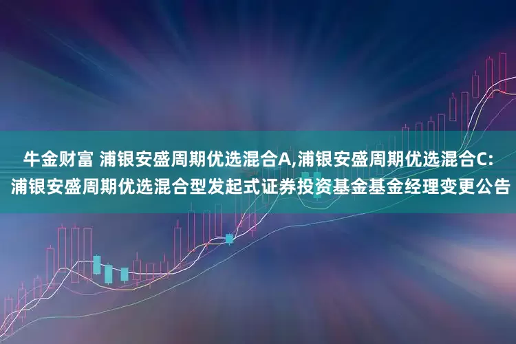牛金财富 浦银安盛周期优选混合A,浦银安盛周期优选混合C: 浦银安盛周期优选混合型发起式证券投资基金基金经理变更公告