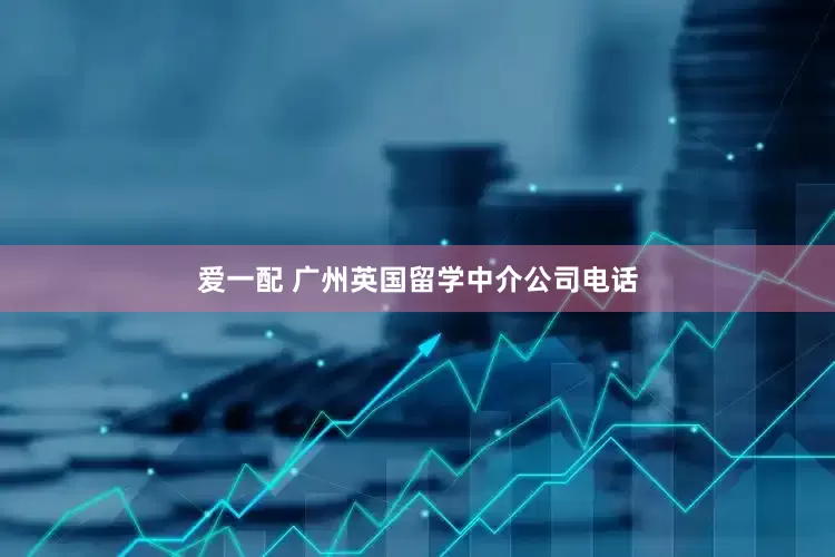 爱一配 广州英国留学中介公司电话